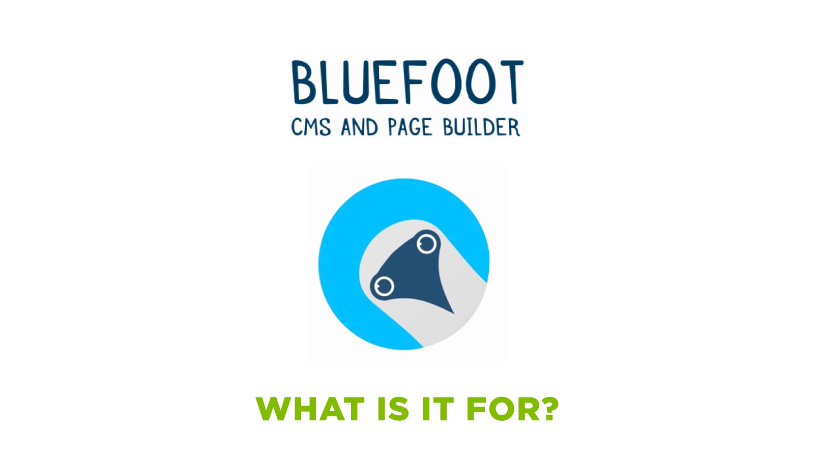 Bluefoot, a pagebuilder for Magento 2  #Codehacks